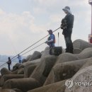 강태공 연합뉴스