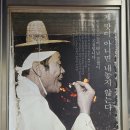 일직식당 | 안동간고등어 맛집 일직식당 내돈내산 솔직 후기