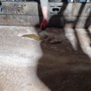 부상농장 이미지