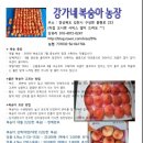 강가네농장 이미지
