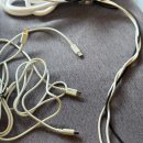 달구지 | 장유 맛집 신달구지막창 방문후기