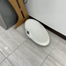 꽃단장하시개