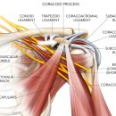 정성한의원 이미지