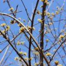 북동농원 이미지