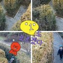 신정호수공원-9 이미지