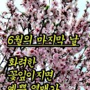 20260630(화) 억척으로 6000보 이미지
