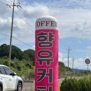 삼향-19 | 무안신상카페 향에 취하는 유교리카페 향유카페