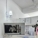 소담스레 | 울산 남구 속눈썹 연장 잘하는 소담스레 뷰티 후기
