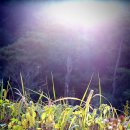 케이스타일(K.style) 이미지