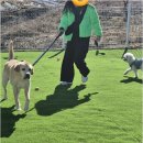 더블루네스 이미지