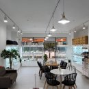 드림독 강아지분양 안심분양센터 김포점 이미지