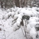 옻샘약수터 이미지