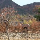 다산건재