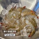 평산초등학교 | 울산 생새우회 맛집 살아있네 병영 분위기 좋은 제철 해산물 술집 석화 방어회 추천