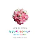 세탁예술가 이미지
