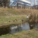 고양밥할머니공원 이미지