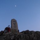 지니라뜨