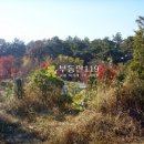 용지하우스 이미지