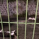 은광세탁소 이미지