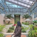 금화로 | 경기도 시흥 &#39;산골수목원&#39; 베이커리 대형카페 내돈내산 후기