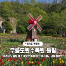 경기도 튤립 명소 2025 부천 무릉도원수목원 튤립 탐방기