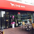 테라스애견미용카페 네이버블로그
