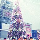 2016년 기독교문화축제 이미지