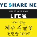 쉐어인베스트먼트