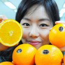 오렌지플러스 이미지