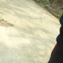 해남목장 이미지