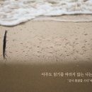 알맹이민박 이미지