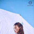 도도한 컴퍼니 이미지