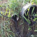 영인면 영인로 이미지