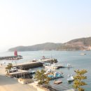 고성버드리민박 이미지