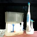 잼며든 대구 &#34;잘했다 78%&#34; 잼통령 지지율 떡상 본 국힘당 울먹 &#34;이 대통령 해냈다, 경주 성공적&#34; (다 불었던 추경호 구속영장 청구 이미지