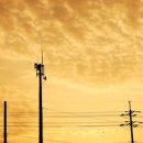 신정리(더리미) 이미지