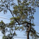 이지현내과의원 이미지