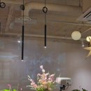 서초정 | 강남 청모 추천장소 '서초정' 후기 : 숙성회부터 감자채전까지, 실패 없는 강남역 다이닝 바