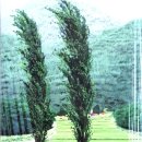 계절의기억 이미지