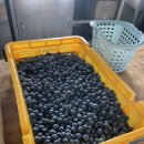 청학농장 이미지