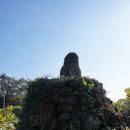 남밭