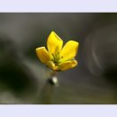 뜨락원 - 수성구 달구벌대로 2910-8 | 뜨락원