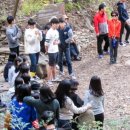 오두산 치유숲 이미지