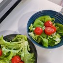 일신팜 | 샐러드 채소 쌈채소 유러피안 채소 친환경 쌈채소 택배배송 후기