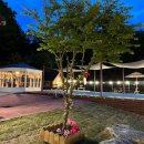 위드제이 이미지