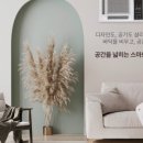 김천석천중학교 이미지