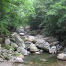 제145차 평산회 정기산행(2008.07.13. 가야산) 이미지