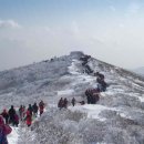 주공4단지버스정류장 옆 이미지