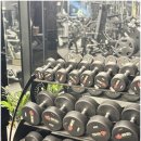 마이티핏 이미지