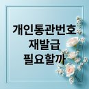 🚫 **긴급 알림:** &#34;배송 중단!&#34; 해외 직구 최악의 상황, 개인통관고유부호 『단 1분 재발급』으로 해결! 이미지